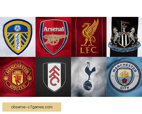 曼联冬窗引援计划全面曝光全力冲击英超前四席位并力争欧冠资格