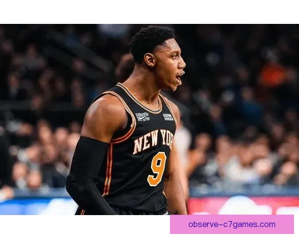 热火队最新战报分析：新援表现亮眼助力季后赛冲刺